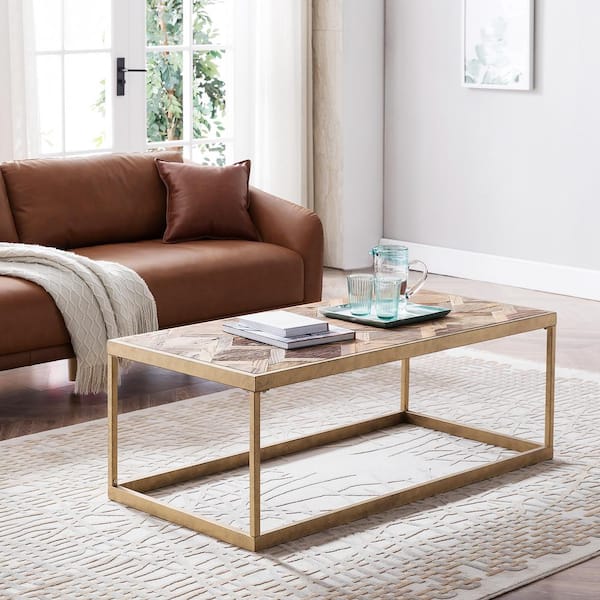 Southern Enterprises Silva 48 in. Natural Reclaimed Wood/Antique Brass Large Rectangle Wood Coffee Table