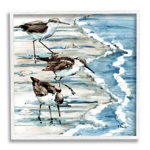 Rockhampton Sandpipers Beach Ripples Design By Paul Brent Framed Animal Art Print 17 in. x 17 in.