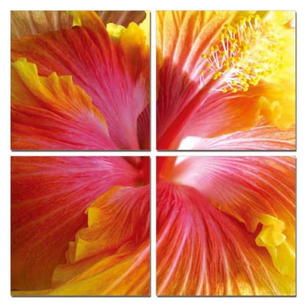 Benjara Modern Hibiscus Flower 4-Piece Frameless Photo Nature Canvas Wall Art 24 in. x 24 in.