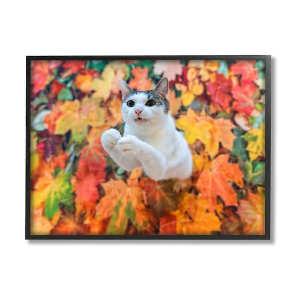 Stupell Industries Cat in Autumn Leaf Pile by Kazutoshi Ono 1 Piece Framed Graphic Print Animal Poster Art Print 14 in. x 11 in.