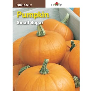 Pumpkin Small Sugar Organic Seed