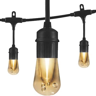 Enbrighten 12 Bulb 24 ft. Outdoor/Indoor Black Vintage LED String Lights, Acrylic Edison Bulbs 35629