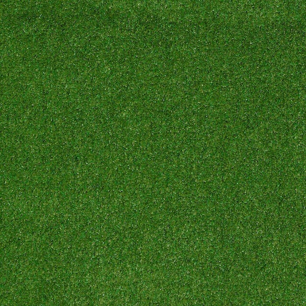 TrafficMaster 8 in. x 8 in. Texture Carpet Sample - Toulon - Color Meadow