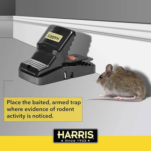 Harris Catch and Release Humane Mouse Trap and Rodent Repellent Spray Value Pack