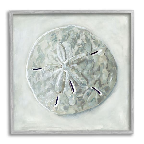 The Stupell Home Decor Collection Sand Dollar Seashell Design by Erica Christopher Framed Nature Art Print 24 in. x 24 in.