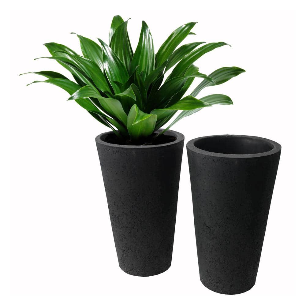 black-algreen-products-plant-