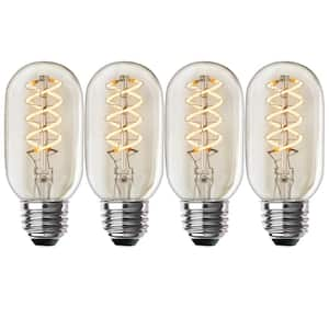 Ampoule vintage bulb Edison 40w E27 T9-185 à filament