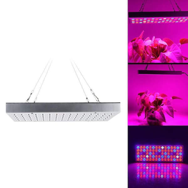 1000W 75LED Full Spectrum Grow Light For Indoor Tent Greenhouse Hydroponic Plant