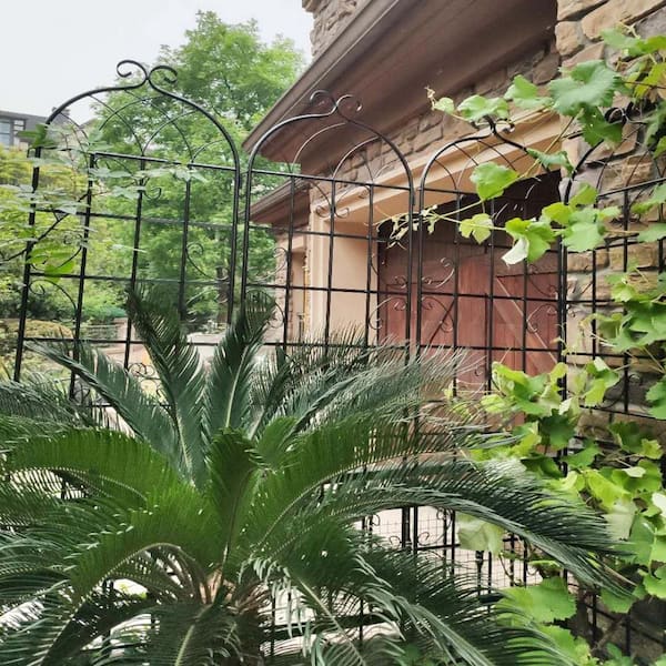 Black 86.7 in. H 2-Pack Metal Garden Trellis Large Decorative Outdoor Trellis for Climbing Plants Support