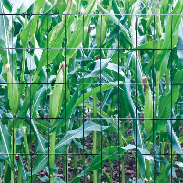Garden Craft 36 in. H x 50 ft. L 2 in. x 4 in. Green Vinyl Coated Fence