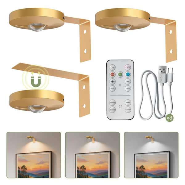 3 Pack LED Gold Picture Lights with Remote, Dimmable Wall Art Frame Lighting Fixture for Paintings, Posters, Portraits