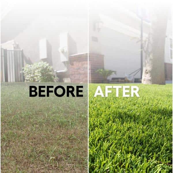 AstroLawn Lozano 15 ft. W x Cut to Length Field Green Artificial
