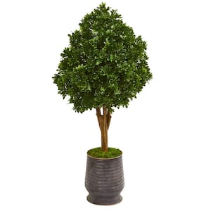 Indoor/Outdoor 49 in. Tea Leaf Artificial Tree in Metal Planter UV Resistant