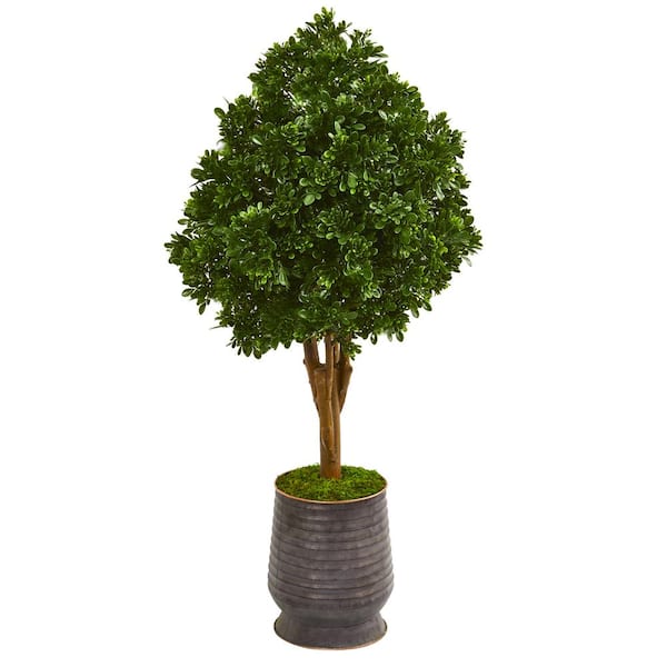 Nearly Natural Indoor/Outdoor 49 in. Tea Leaf Artificial Tree in Metal Planter UV Resistant