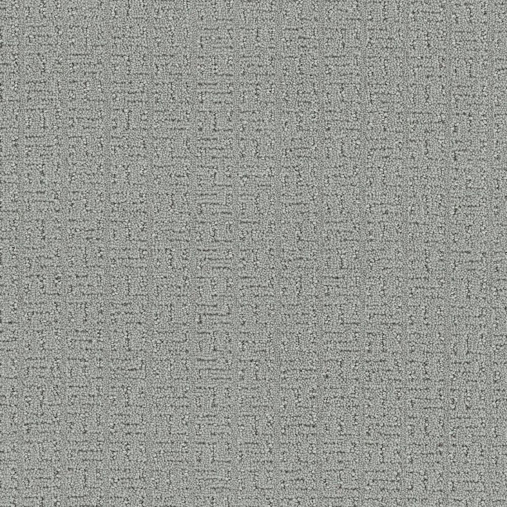 8 in. x 8 in. Loop Carpet Sample - Earthy Editions - Color Daylight price history on PriceWatchPro