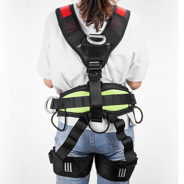 harness belt near me