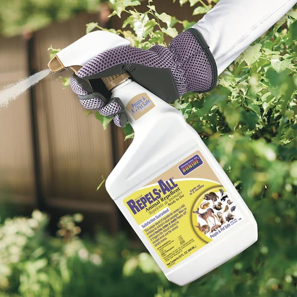 Bonide Repels-All Animal Repellent, 32 oz Ready-To-Use, Long Lasting  Outdoor Garden Deer Repellent 238 - The Home Depot