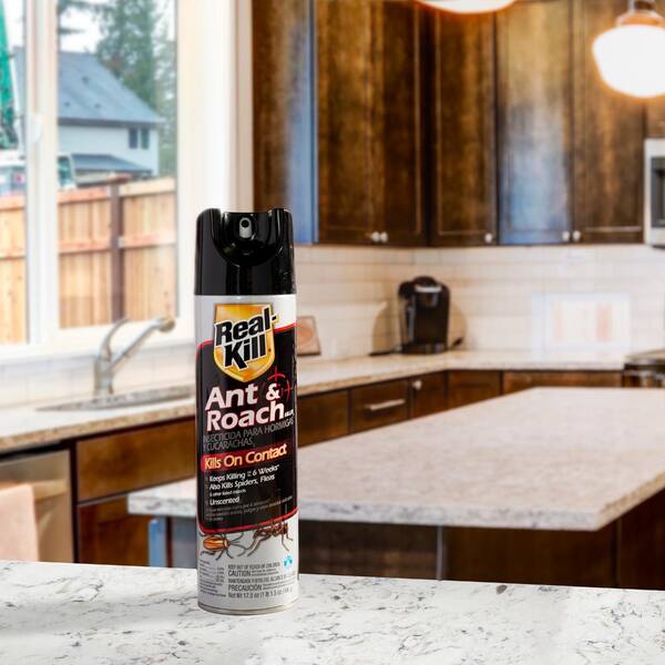 Real-Kill 17.5 oz. Ant and Roach Killer Aerosol Spray HG-10048-7