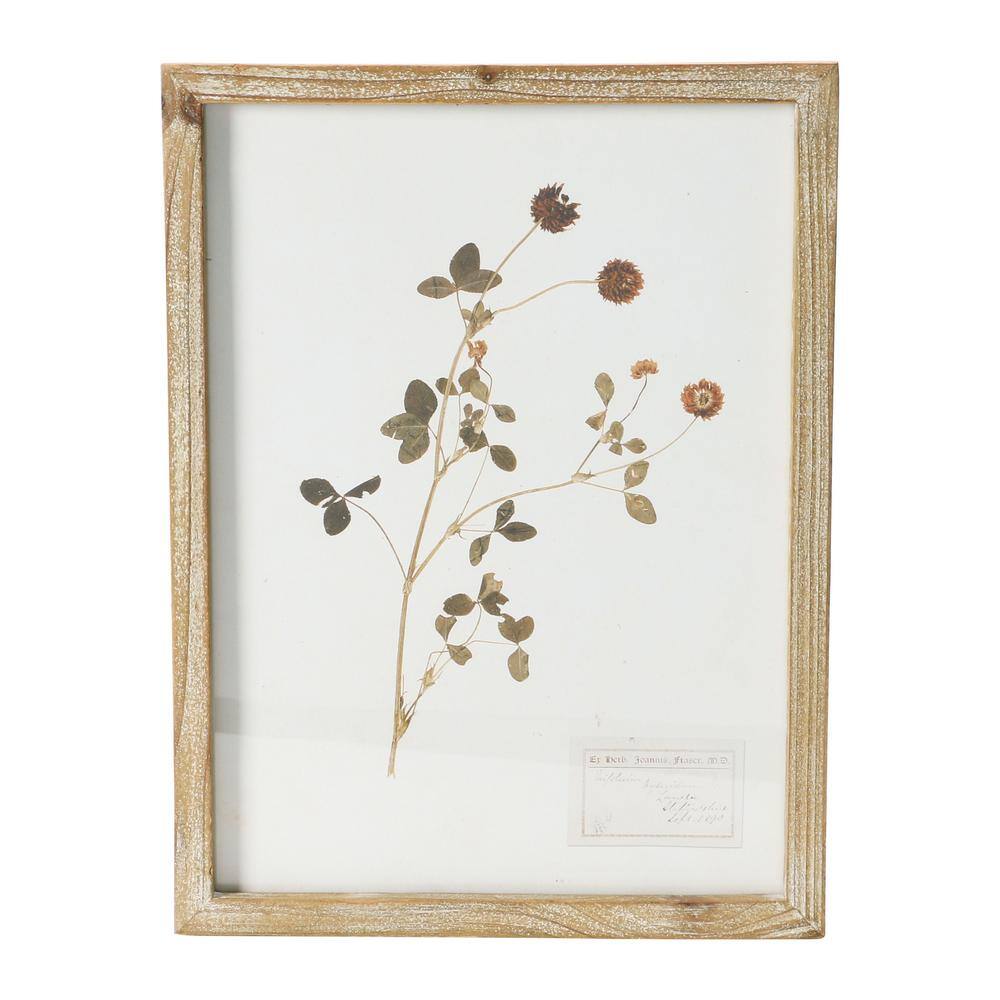 Set of 6 Botanical Prints in Light Brown Wood Frames