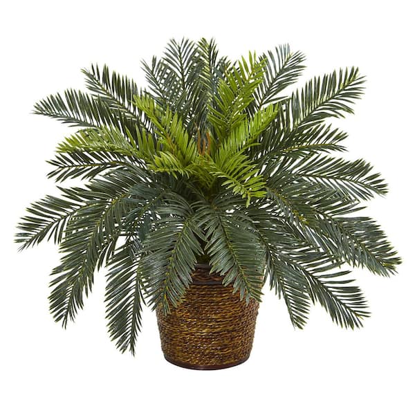 Nearly Natural 15 in. Cycas Artificial Plant in Basket