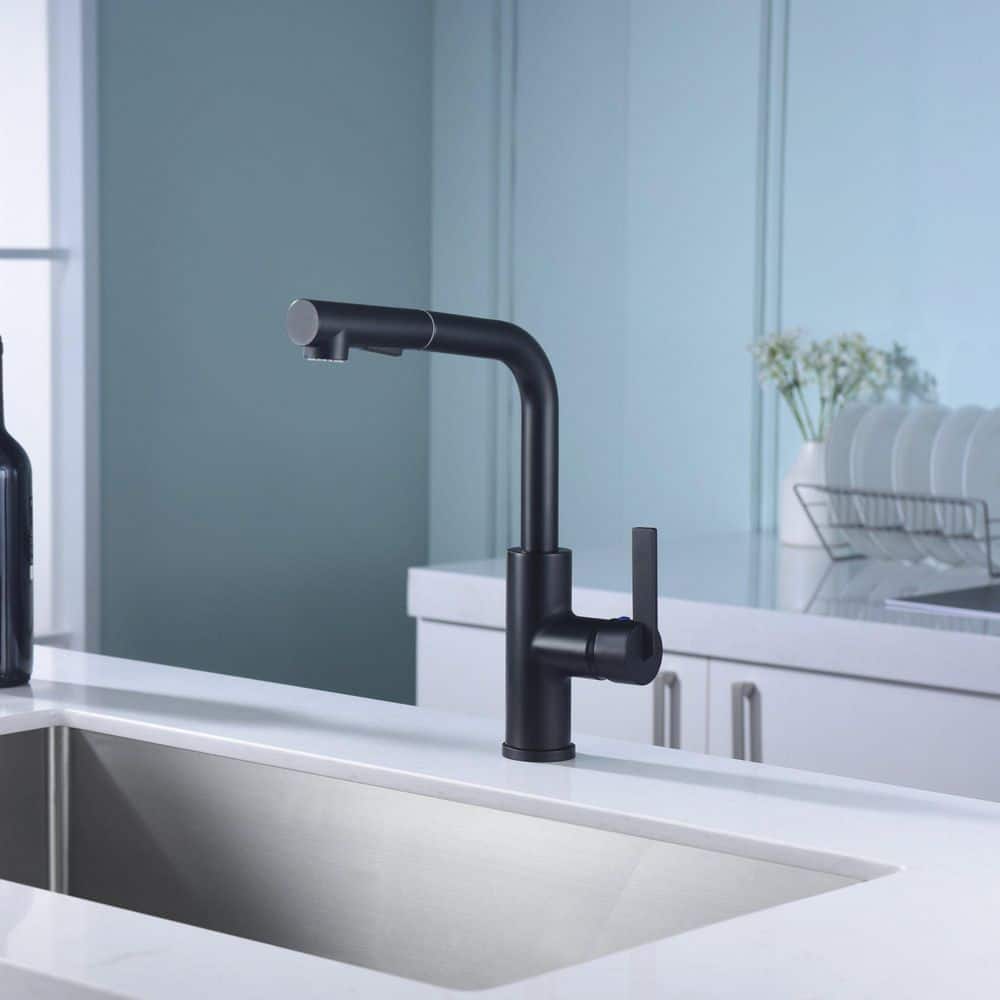 Matte Black Contemporary Pull-Out Kitchen Faucet with Lever Handle