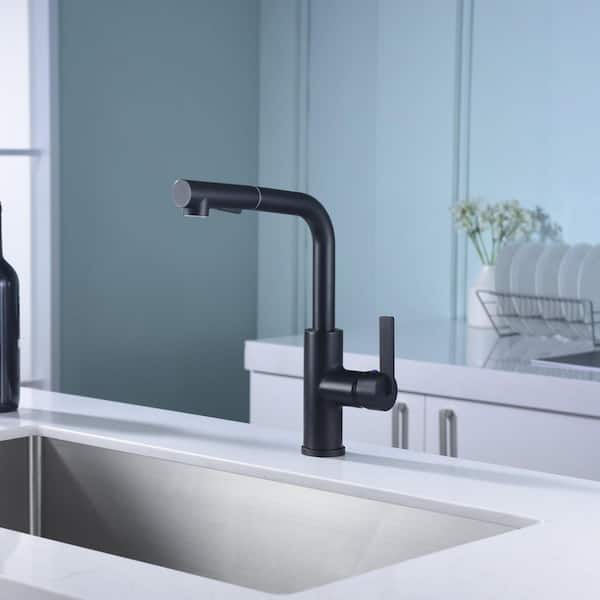 Hena Single-Handle Pull-Out Sprayer Kitchen Faucet with Accessories in Rust and Spot Resist in Matte Black