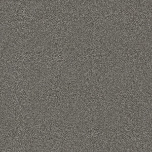 Trendy Threads Plus II - Sahara - Gray 48 oz. SD Polyester Texture Installed Carpet