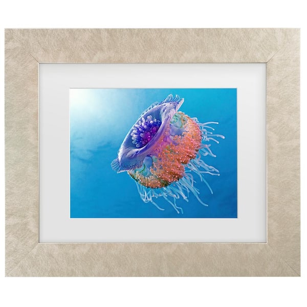 Trademark Fine Art Henry Jager Crown Jellyfish Matted Framed Photography Wall Art 19.5 in. x 23.5 in.