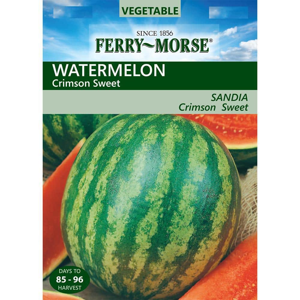 Details about   Crimson Sweet Watermelon Seeds 25 Fruit Melon Heirloom NON-GMO FREE SHIPPING