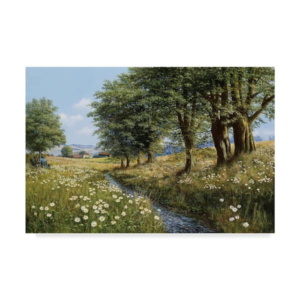 Trademark Fine Art Bill Makinson 'Beeches and Daisies' Canvas Unframed Photography Wall Art 30 in. x 47 in