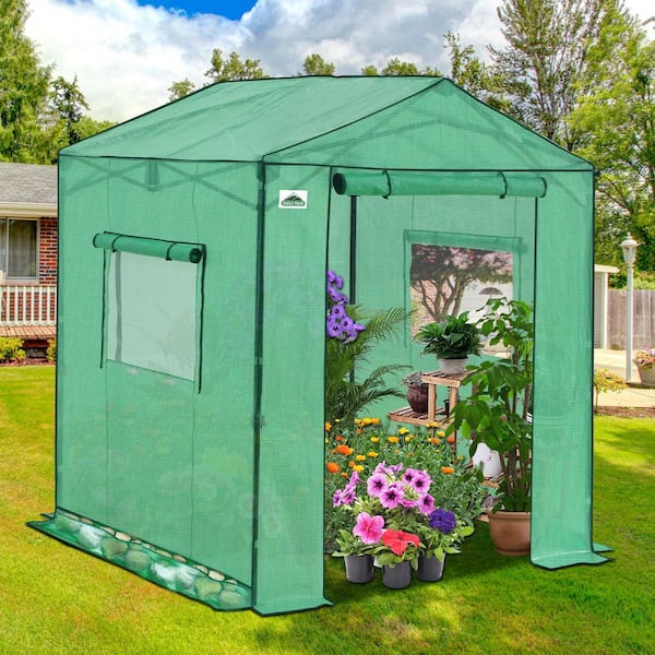 Tozey 6 ft. W x 8 ft. D Collapsible Metal Walk-In Greenhouse