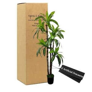 Handmade 6 ft. Artificial Dracaena Tree in Home Basics Starter Pot Made with Real Wood and Moss Accents