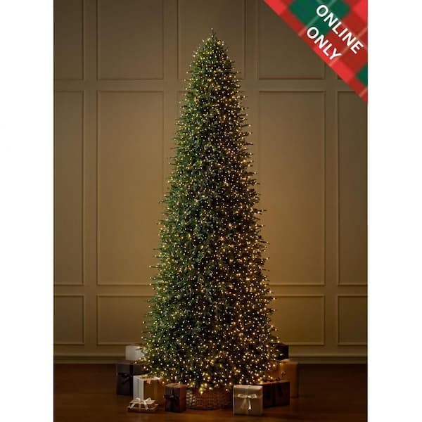 15 ft SMART Grand Duchess Twinkling Balsam Fir LED Pre-Lit Tree