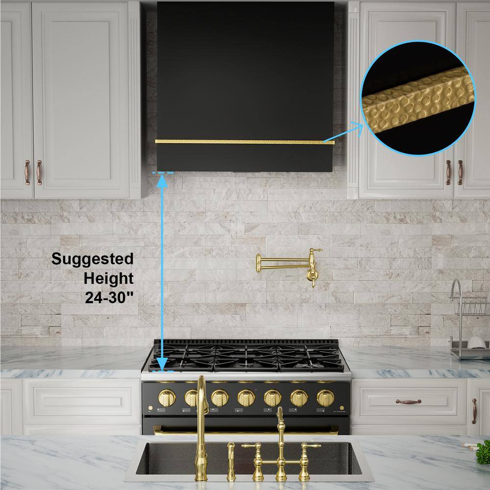 30-Inch Stainless Steel Wall-Mount Range Hood with Charcoal Filter