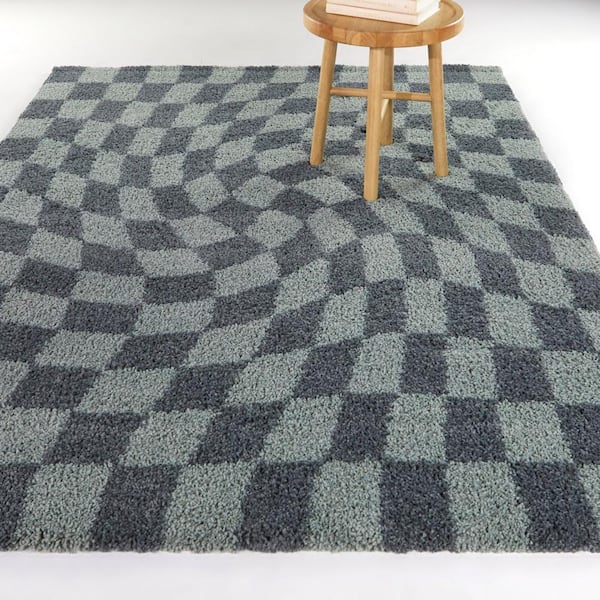 Luther Sage 5 ft. x 7 ft. Checkered Area Rug
