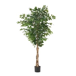 6 ft.H Green Artificial Ficus Tree in Black Pot