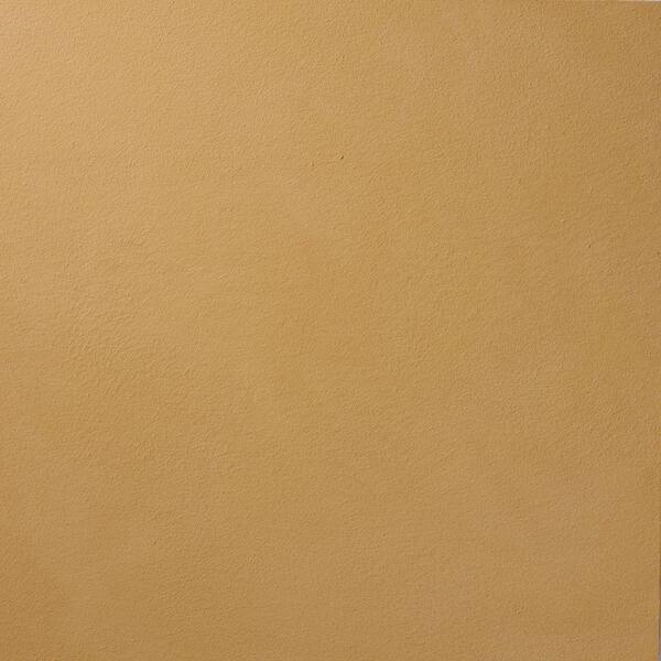 Ralph Lauren 13 in. x 19 in. #SU107 Yellowstone Suede Specialty Paint Chip Sample