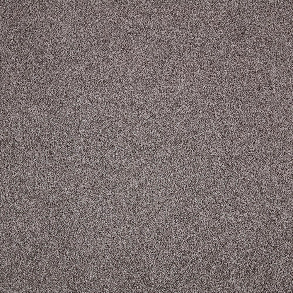 8 in. x 8 in. Texture Carpet Sample - Playful Moments II (S) -Color Whisper price history on PriceWatchPro