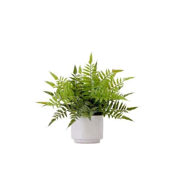 14 in. Artificial Boston Fern Plant with Decorative Planter