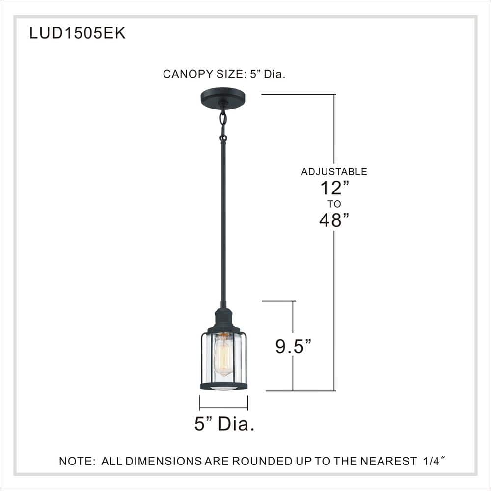 Ludlow Matte Black 5" Mini Industrial Pendant with Caged Glass