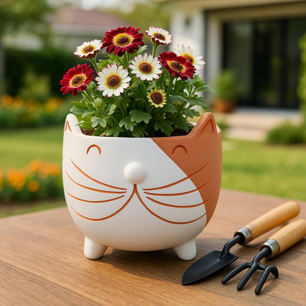 White/Tan Ceramic Kitty Whiskers Footed Planter (6 in. W x 6 in. H) price history on PriceWatchPro