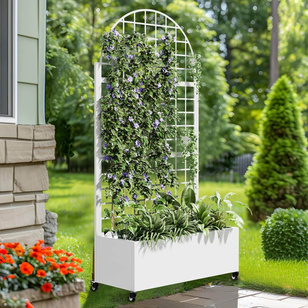 Dovelina 71 in. H Metal White Arch Pots and Planter Raised Bed Box with