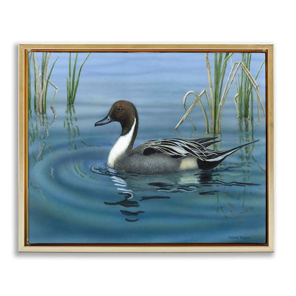 Stupell Industries Pintail Loon in Pond by Valerie Rogers Gold Floater Frame Animal Graphic Art Print 25 in. x 31 in.