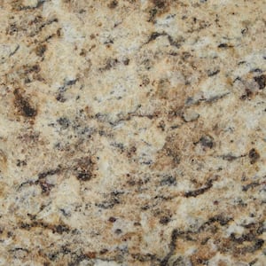 31 in. W x 22 in. D Granite Vanity Top in Giallo Ornamental with White Single Trough Basin