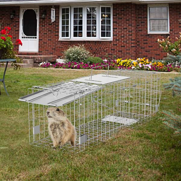 Live Animal Cage Trap, 24 x 8 x 8 in., Folding Animal Trap with Handle for Rabbits Humane Cat Trap Galvanized Iron