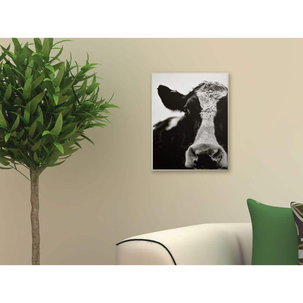 Black and White Cow Close-Up Wood Wall Art