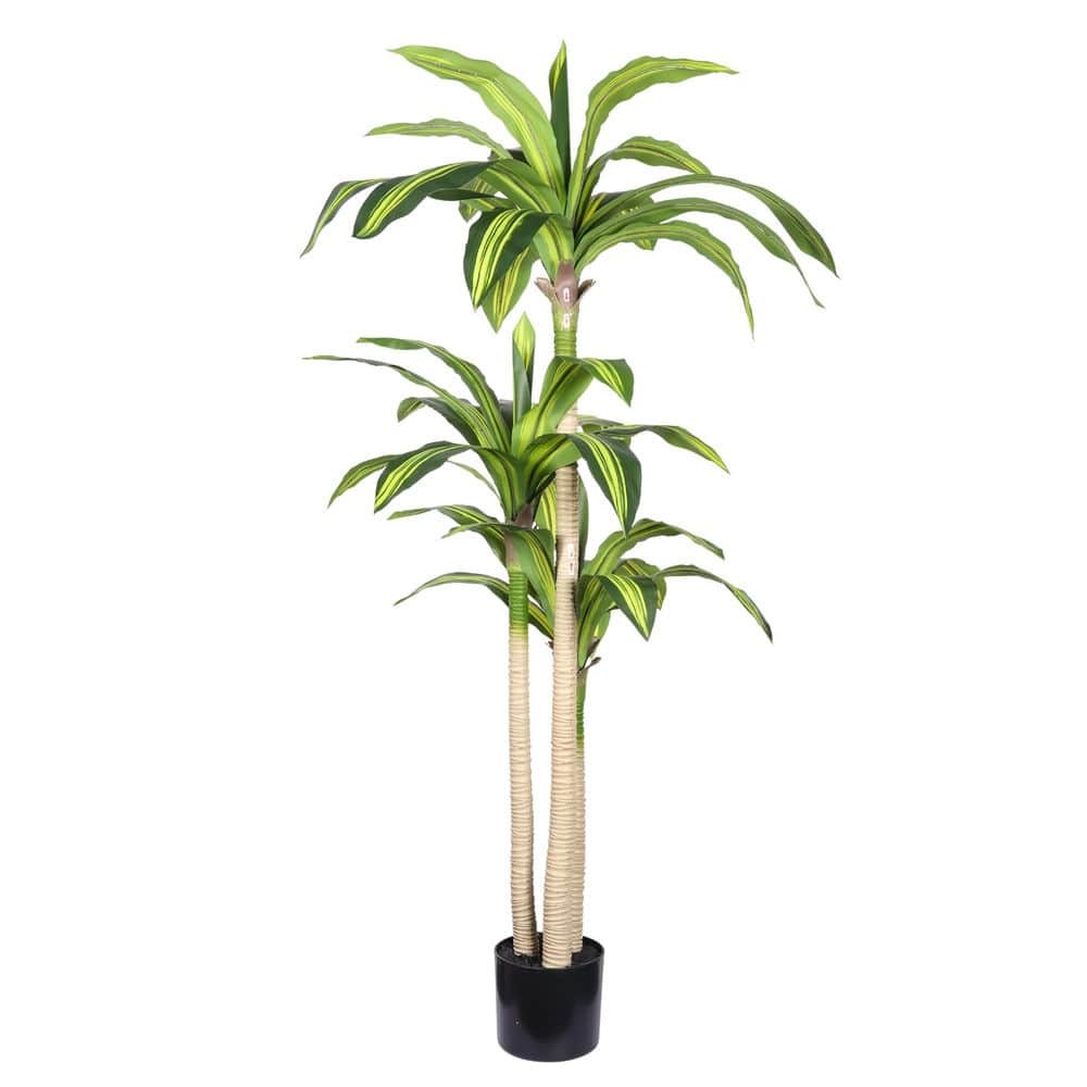 5 ft. Artificial Dracaena Tree in Black Plastic Pot - Compact Faux Plant for Small Spaces price history on PriceWatchPro