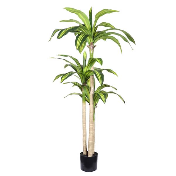Racxily 5 ft. Artificial Dracaena Tree in Black Plastic Pot - Compact Faux  Plant for Small Spaces YDQ-W3912P437626