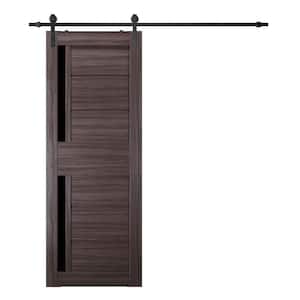 Esta 32 in. x 80 in. 2-Lite Frosted Glass Gray Oak Wood Composite Sliding Barn Door with Hardware Kit