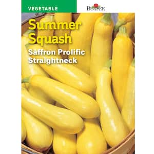 Squash Summer Saffron Prolific Straight-Neck Seed